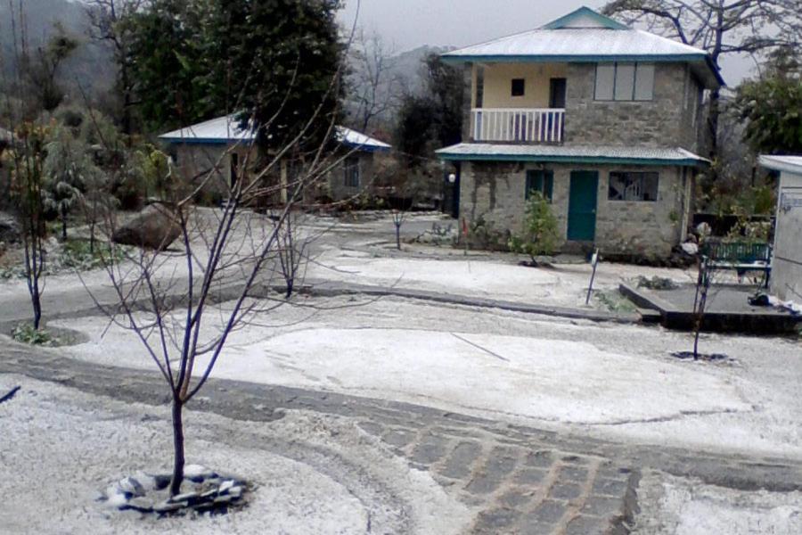 Nagri Resort Pālampur Exterior foto
